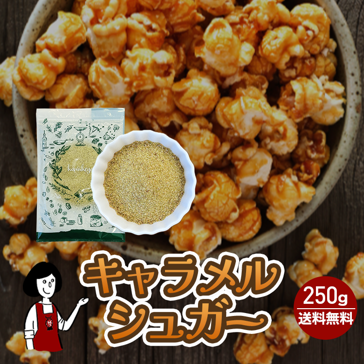 キャラメルシュガー 250g / チャック付 メール便 送料無料 フレーバー シュガー ポップコーン専用 映画館の味