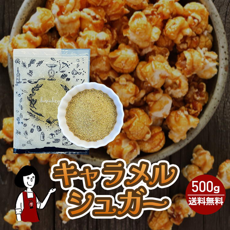 キャラメルシュガー 500g / チャック付 メール便 送料無料 フレーバー シュガー ポップコーン専用 映画館の味