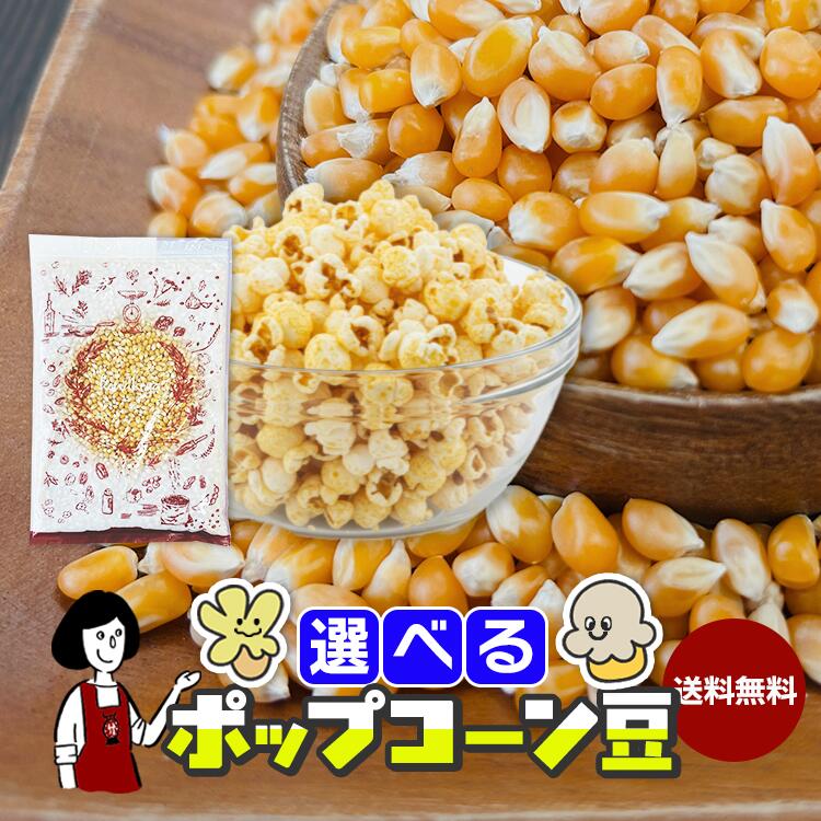 選べるポップコーン豆  500g・1kg・5kg 〈バタフライ豆・マッシュルーム豆〉 / 送料無料 コーン とうもろこし ポップコーン