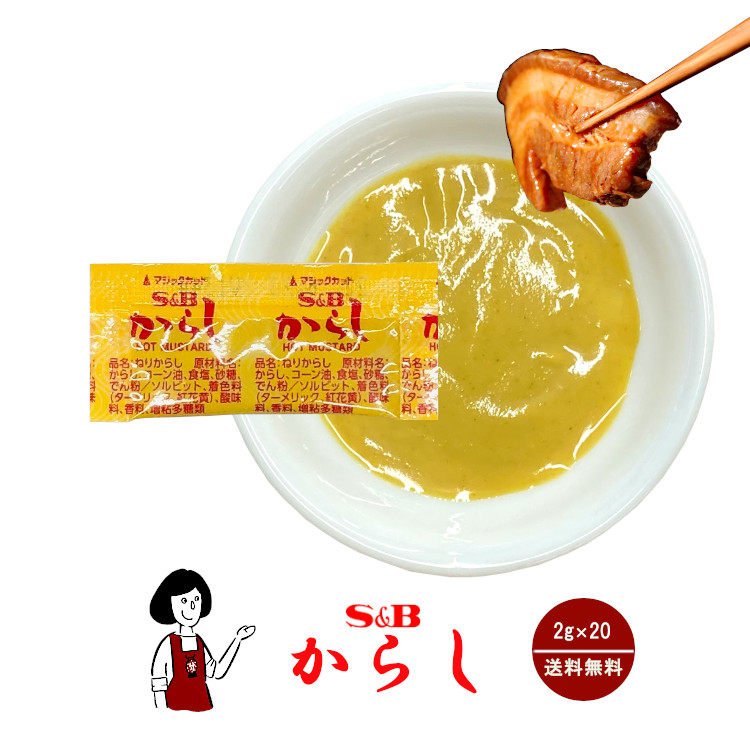 S&B からし 2g×20袋 / ヱスビー食品 小袋 使い切り テイクアウト 香辛料 スパイス 送料無料