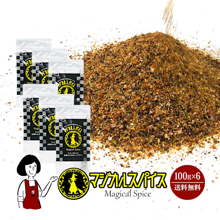 ライフテック マジカルスパイス 100g×6袋 ＜詰替用＞ / ミックススパイス アウトドア キャンプ飯 万能調味料 送料無料