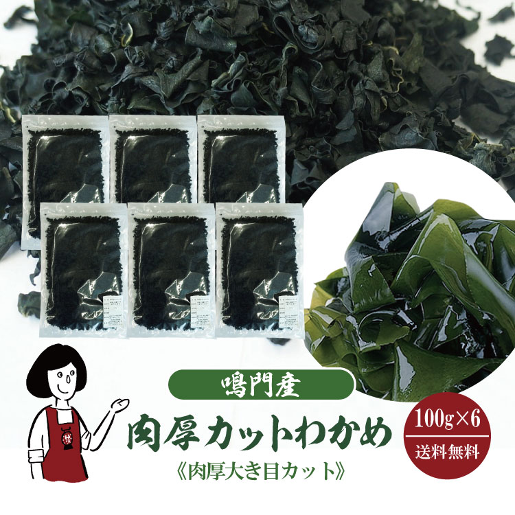 鳴門産 肉厚カットわかめ 100g×6袋 / 国産 ワカメ 肉厚 乾燥 和布 保存食 チャック付 送料無料