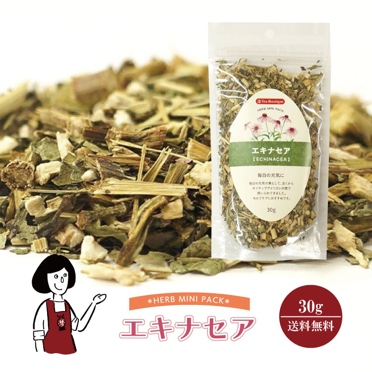 エキナセア 30g / メール便 送料無料