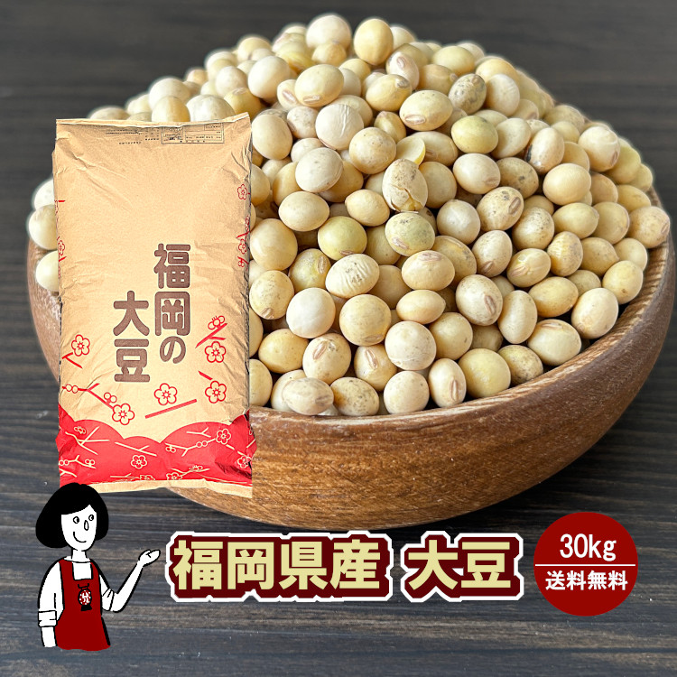 福岡県産大豆《ふくよかまる･3等級･中粒》 30kg / 宅配便 送料無料