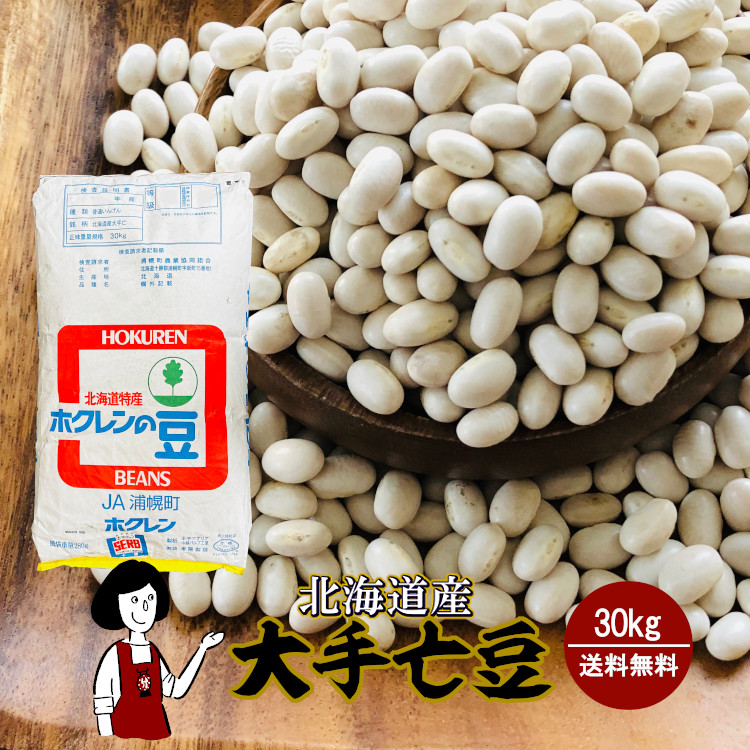 大手亡豆 30kg / 宅配便 送料無料