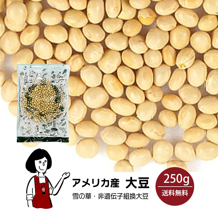 アメリカ産大豆 250g / チャック付 メール便 送料無料