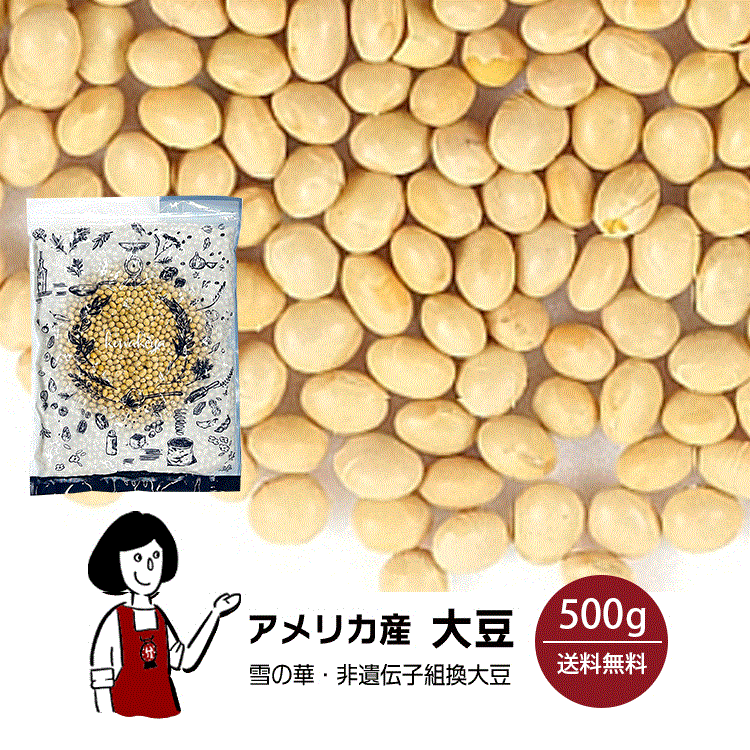 アメリカ産大豆 500g / チャック付 メール便 送料無料