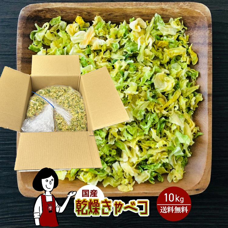 国産 乾燥キャベツ 10kg / 宅配便 送料無料