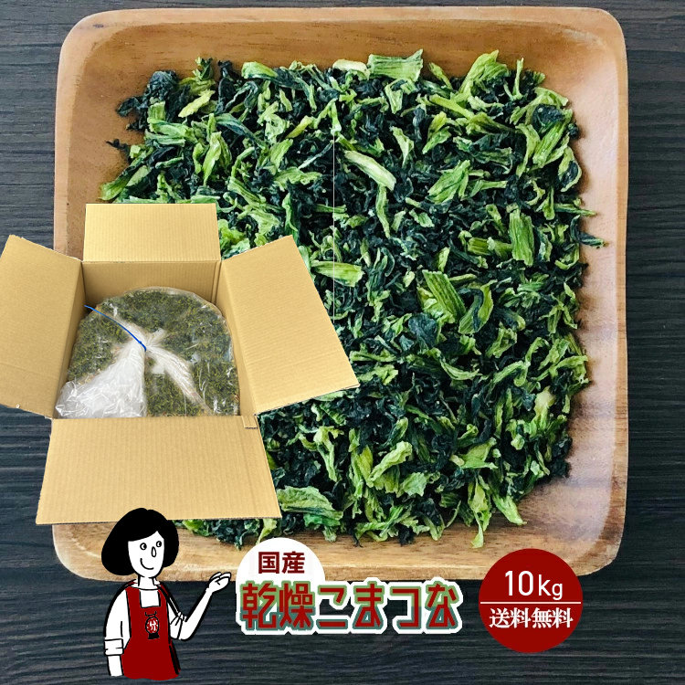 国産 乾燥こまつな 10kg / 宅配便 送料無料