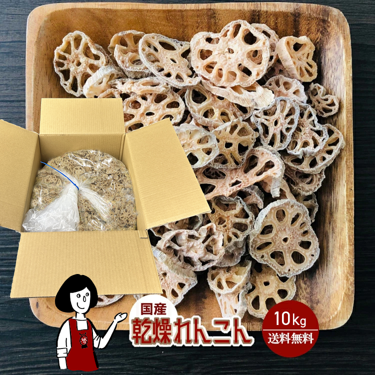 国産 乾燥れんこん 10kg / チャック付 宅配便 送料無料