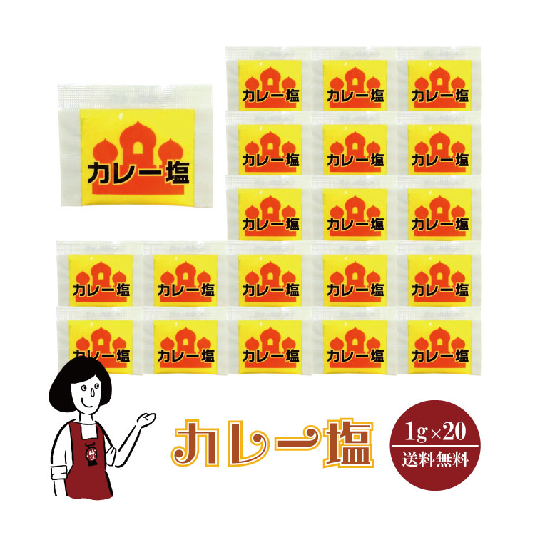 マルニ カレー塩 1g×20 / メール便 送料無料