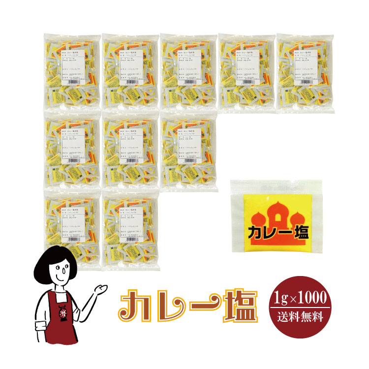 マルニ カレー塩 1g×1000 / 宅配便 送料無料