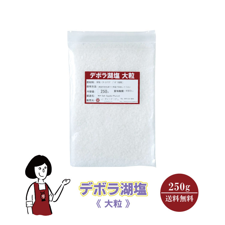 デボラ湖塩≪中粒≫ 250g / チャック付 メール便 送料無料