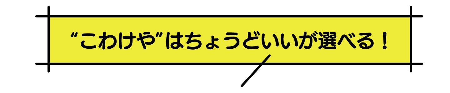 ちょうどいいが選べる