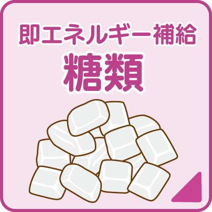カテゴリ-糖類