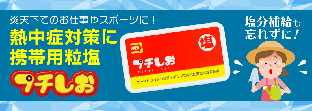 プチしお デボラ湖塩 携帯用