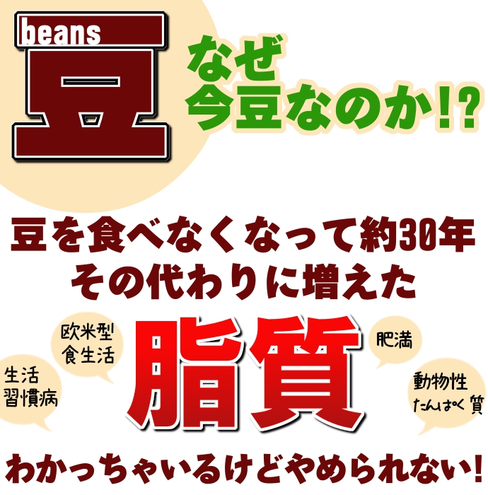 豆説明 共通