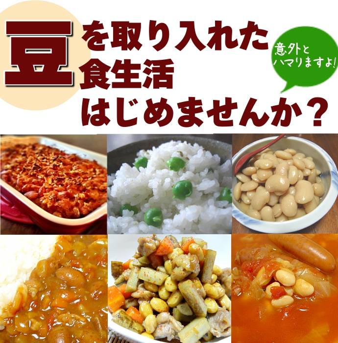 豆説明 共通