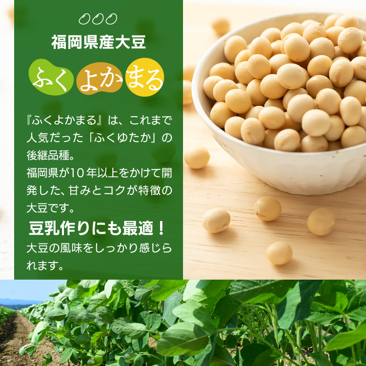 大豆 乾燥豆 国産 福岡県産