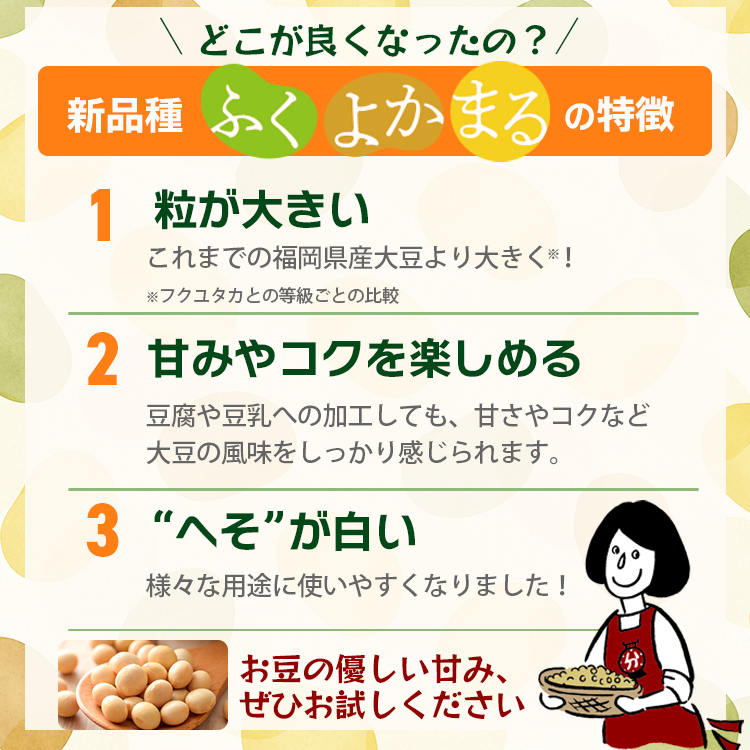 大豆 乾燥豆 国産 福岡県産