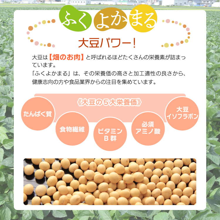 大豆 乾燥豆 国産 福岡県産