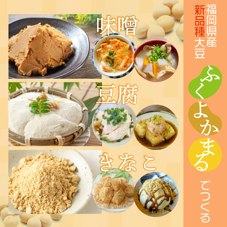 大豆 乾燥豆 国産 福岡県産