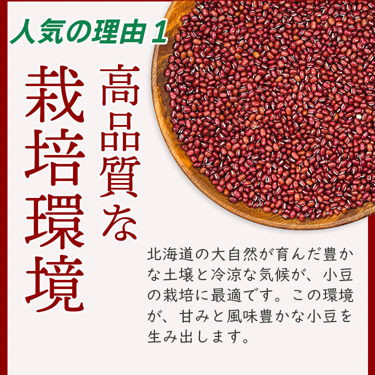 小豆 乾燥豆 国産 北海道産