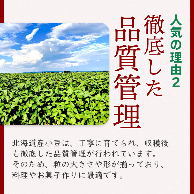 小豆 乾燥豆 国産 北海道産