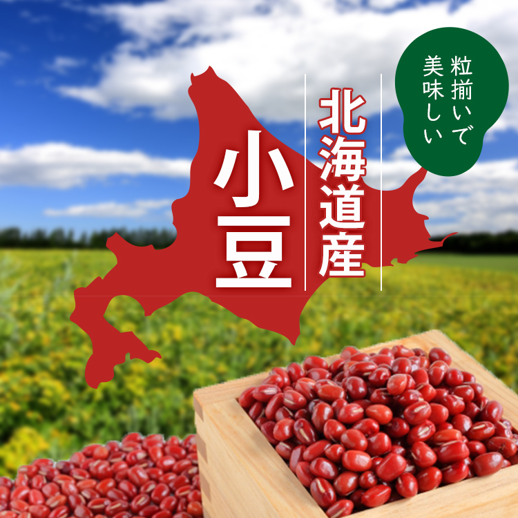 小豆 乾燥豆 国産 北海道産