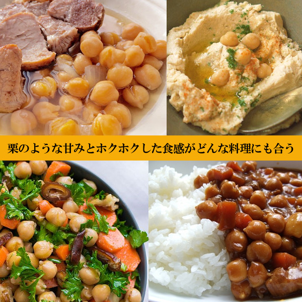 ひよこ豆 乾燥豆 ガルバンゾー アメリカ産