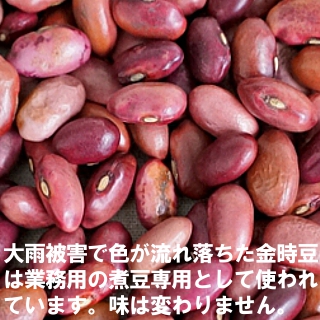 大正金時豆 北海道産 いんげん豆