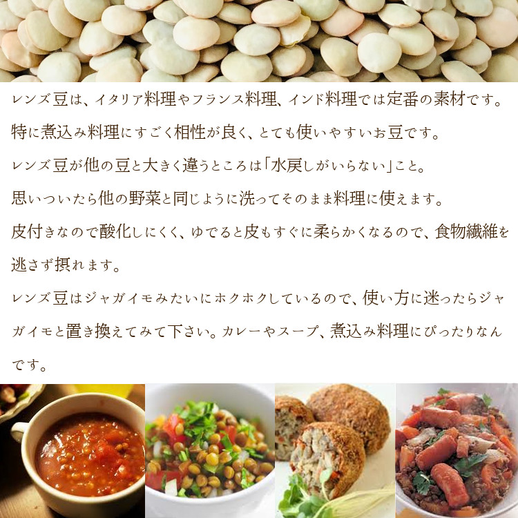 レンズ豆 ヒラマメ カナダ産 乾燥豆