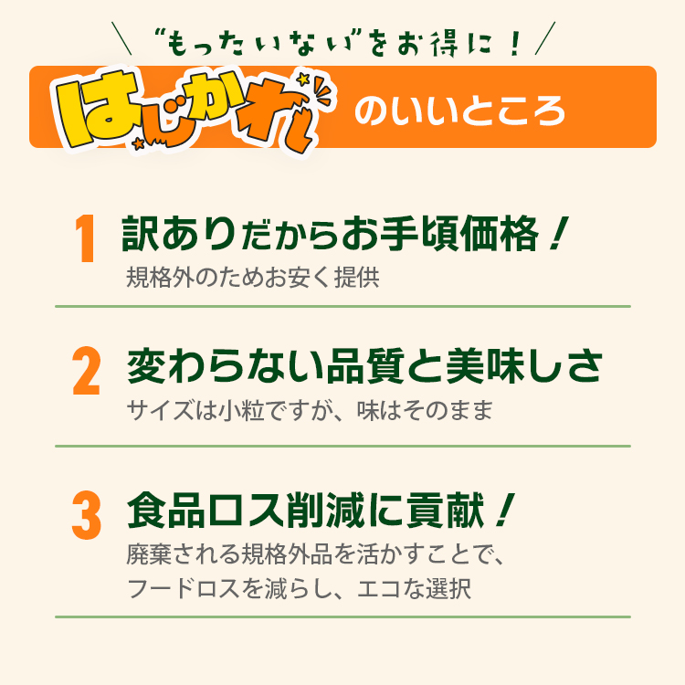 プルーン ドライフルーツ 訳あり 不揃い