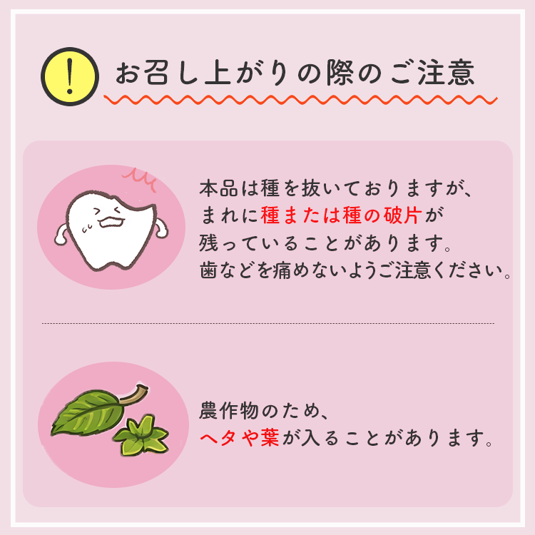 保存料無添加 砂糖不使用 オイル不使用 業務用 カリフォルニア 高品質 ドライプルーン