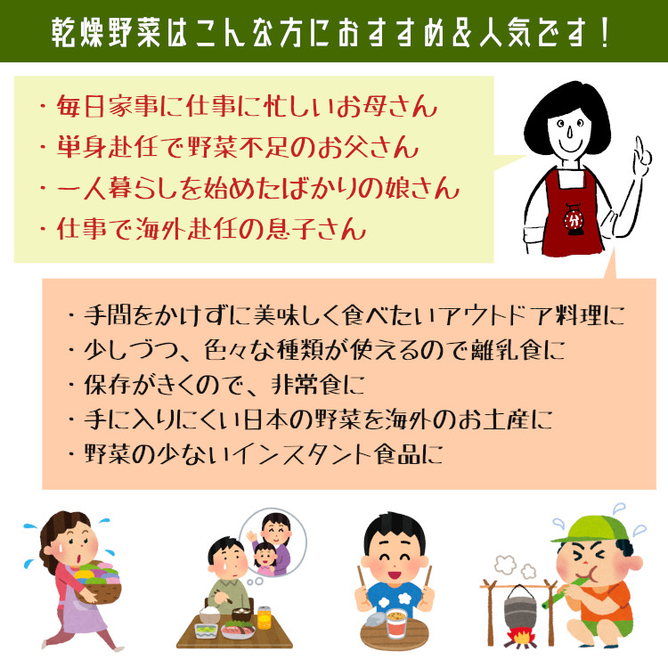 乾燥野菜 九州産 国産 ボイル済み ドライベジ 保存食 時間短縮