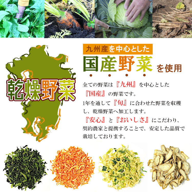 乾燥野菜 九州産 国産 ボイル済み ドライベジ 保存食 時間短縮