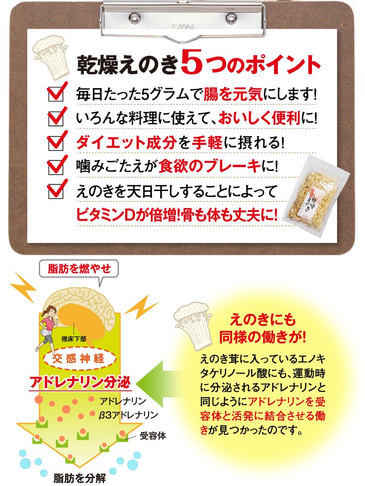 鹿児島産 九州 国産 えのき茸 保存食