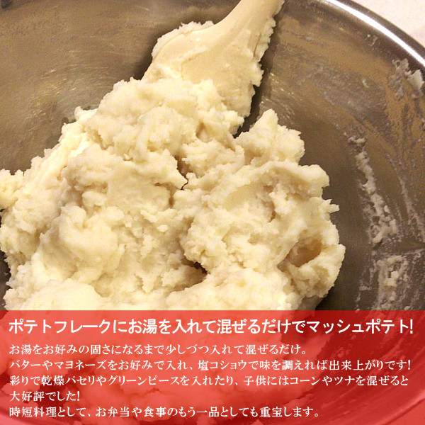 マッシュポテトの素 ジャガイモ ポテト 粉末 保存食 非常食
