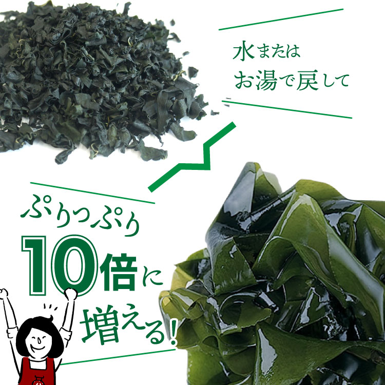 国産 徳島県 鳴門産 ワカメ 肉厚 乾燥 和布 保存食