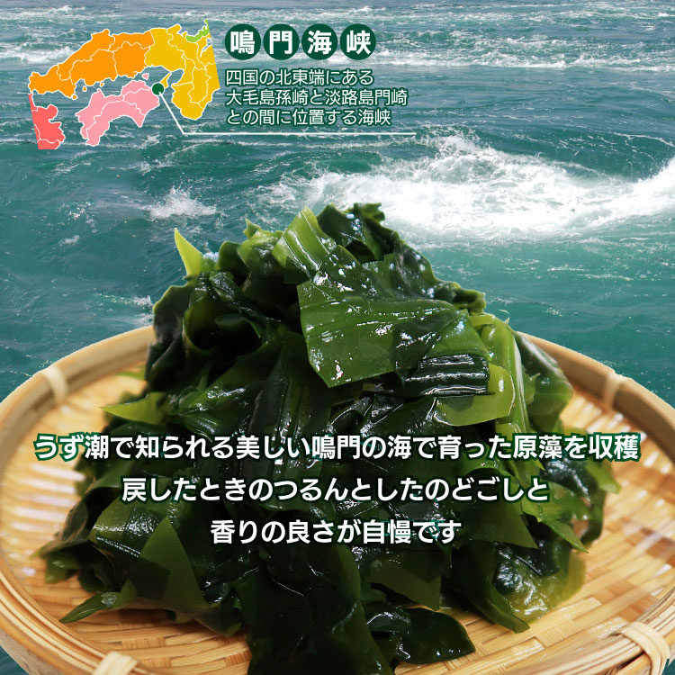 国産 徳島県 鳴門産 ワカメ 肉厚 乾燥 和布 保存食