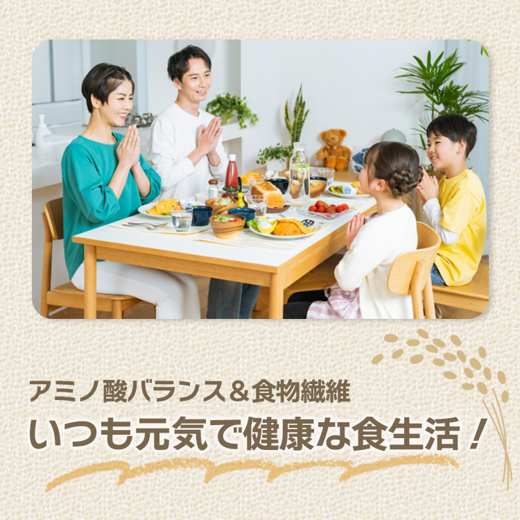 米粉 国産 うるち米