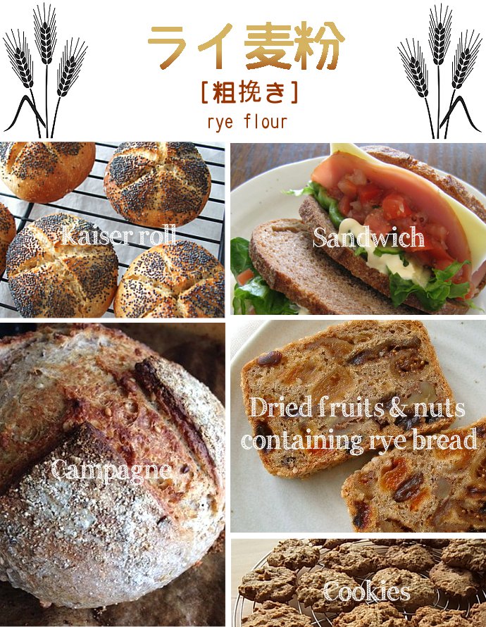 ライ麦粉 全粒粉 ライ麦