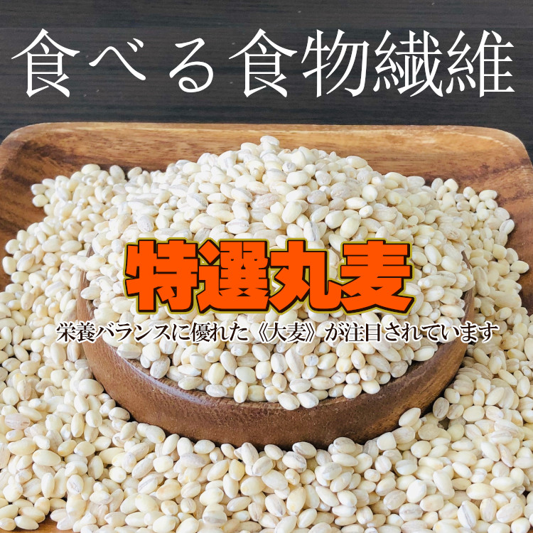 丸麦 大麦 国産 食物繊維
