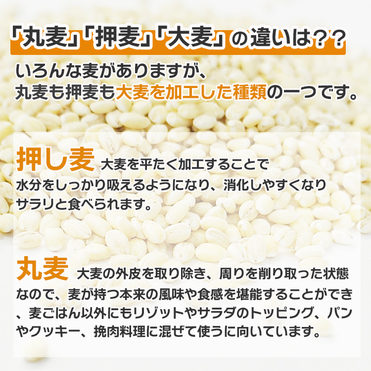 丸麦 大麦 国産 食物繊維
