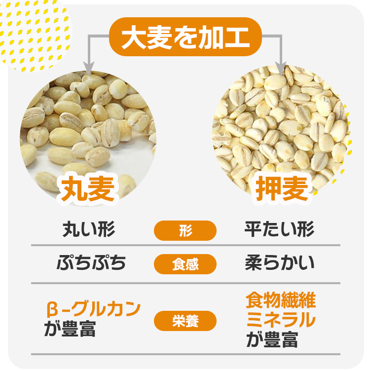 丸麦 大麦 国産 食物繊維