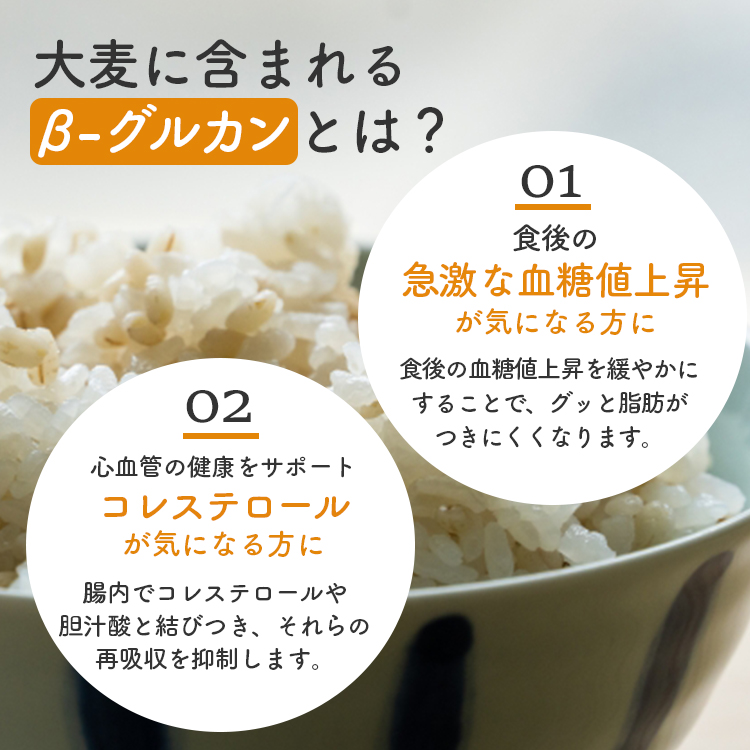 丸麦 大麦 国産 食物繊維