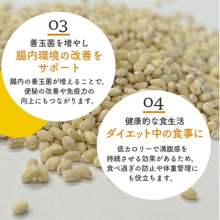 丸麦 大麦 国産 食物繊維