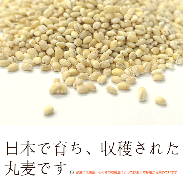 丸麦 大麦 国産 食物繊維