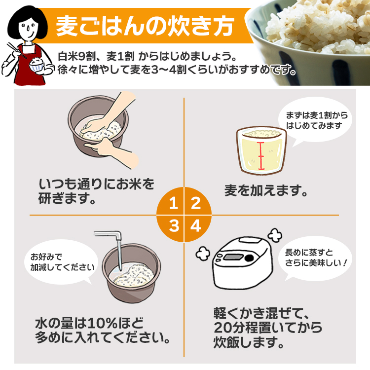 丸麦 大麦 国産 食物繊維