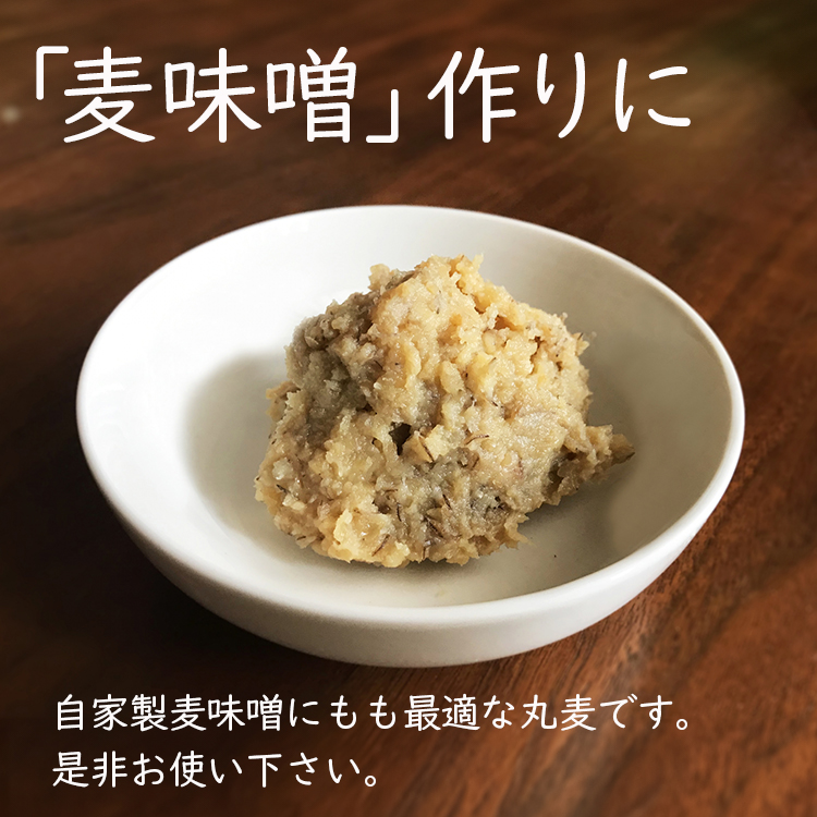 丸麦 大麦 国産 食物繊維